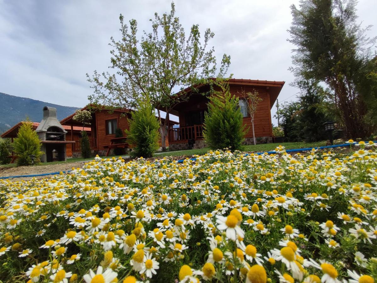 Hurmalik Apart Evleri-Very Close To The Sea Large Garden Bungalow With Barbecue And Swing Karaoz Ngoại thất bức ảnh